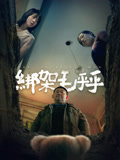 绑架毛乎乎海报